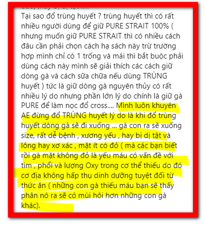 Thực Tế Gà Trùng Huyết Đá Được Không?