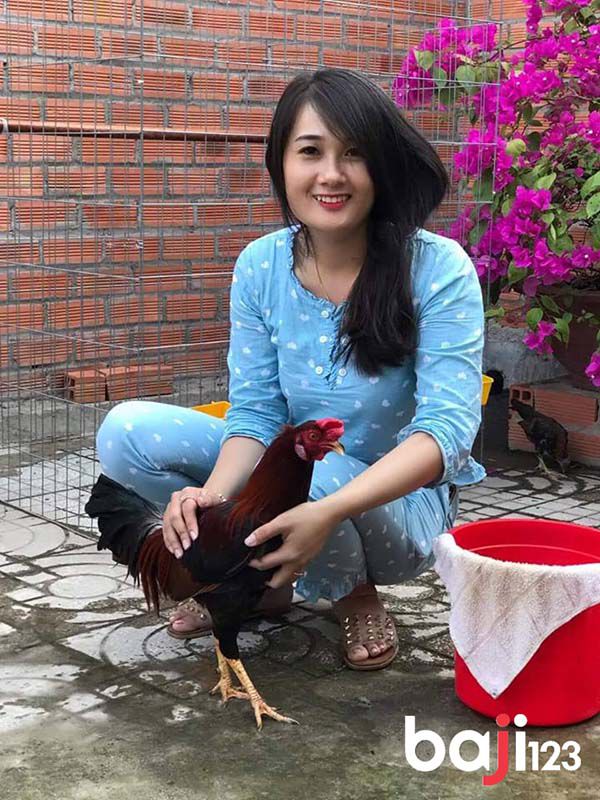 Thử chân gà cần chú ý để tránh bị hỏng gà