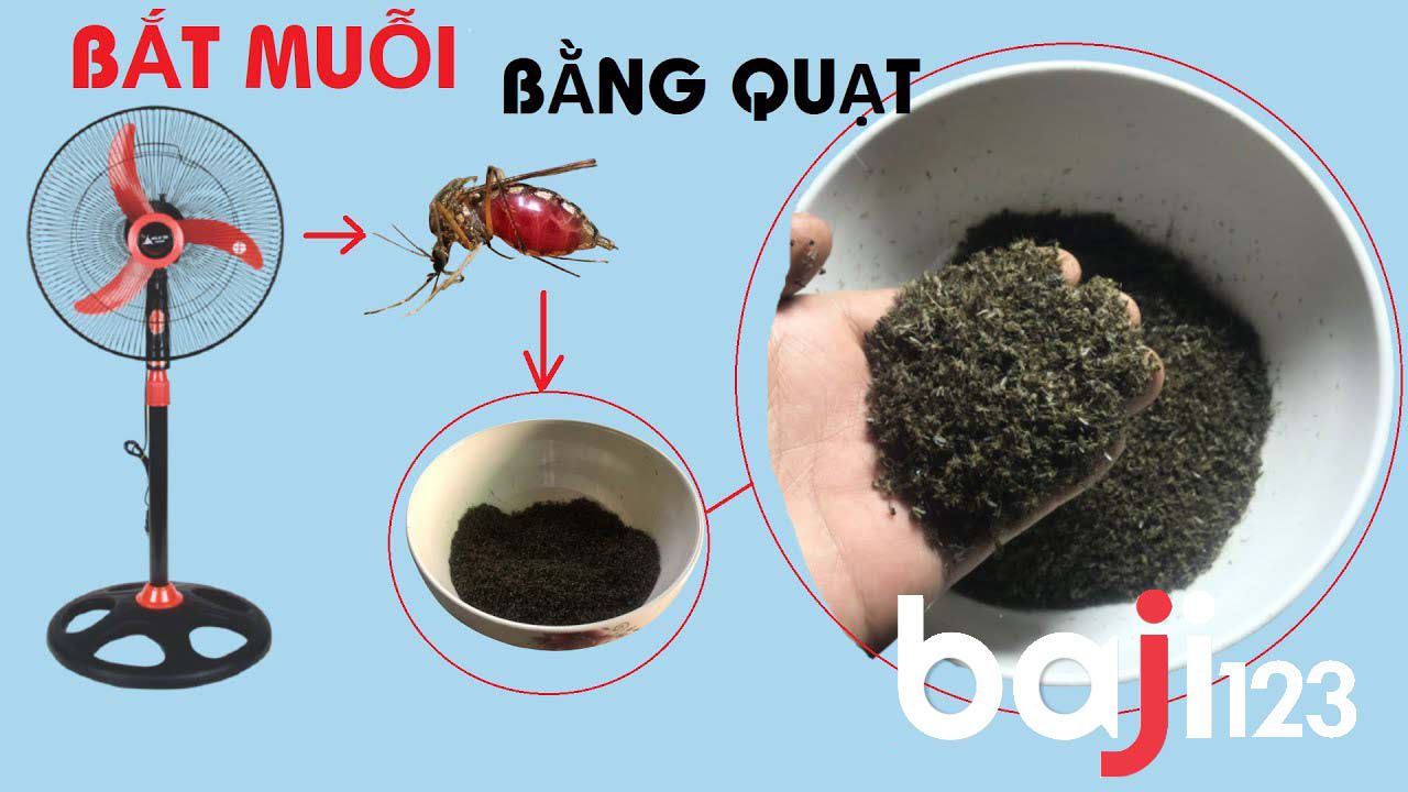 Đuổi muỗi cho gà chọi bằng quạt