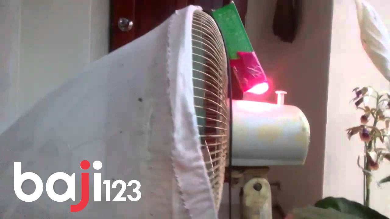 Thiết kế quạt bắt muỗi cho gà chọi