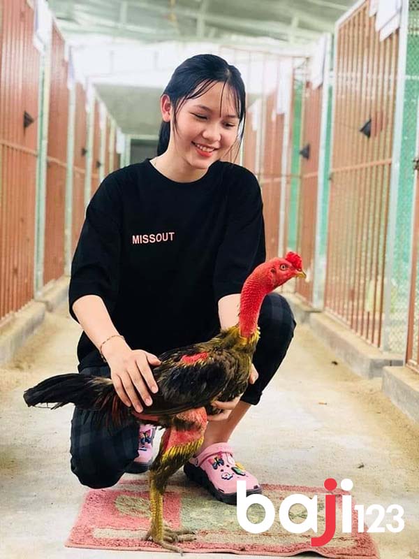 Nhược điểm khi chọn gà chọi con là gì?