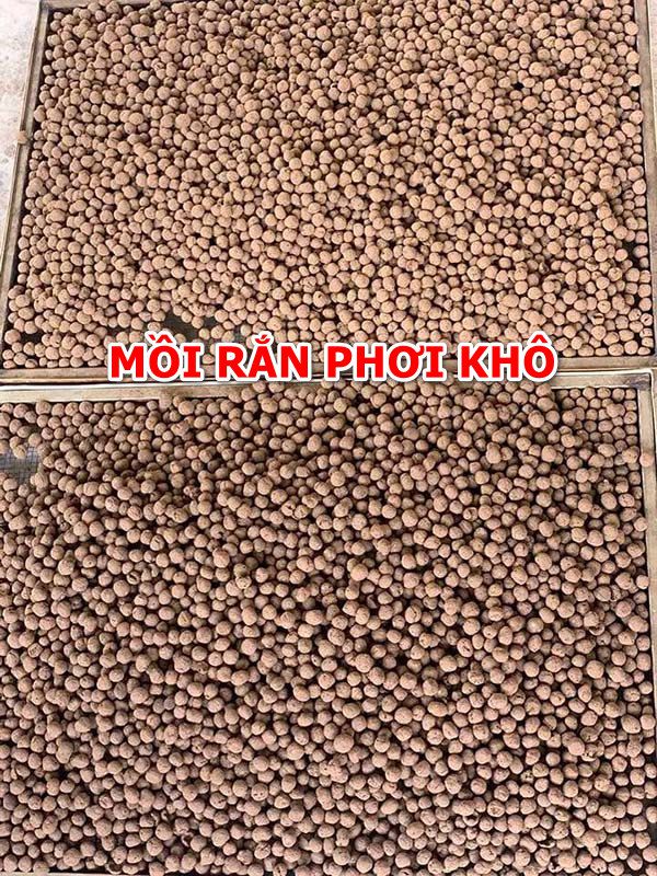 Cách làm mồi rắn cho gà dạng tươi