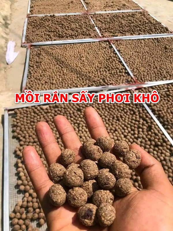 Cách làm mồi rắn cho gà dạng tươi