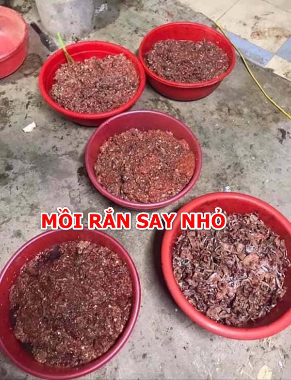 Cách làm mồi rắn cho gà dạng tươi