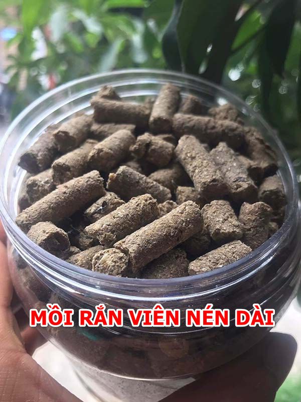 Làm mồi rắn cho gà chọi cần chú ý điều gì?