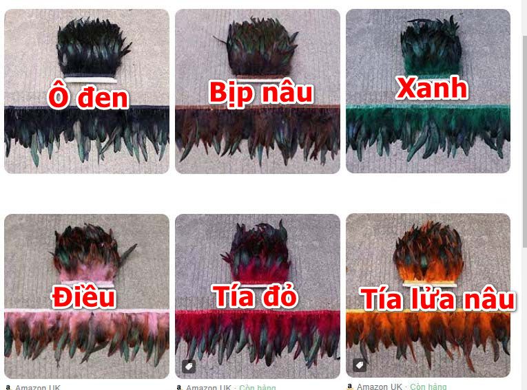 Một số màu cơ bản của gà ngũ sắc thần kê