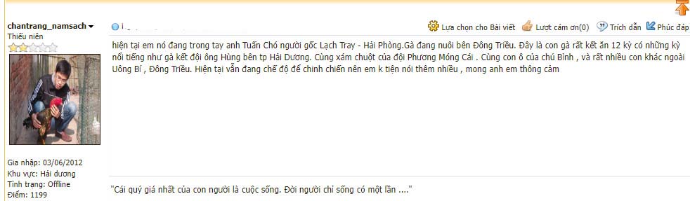 Thông tin về con gà tía mắt mèo nổi tiếng 1 thời